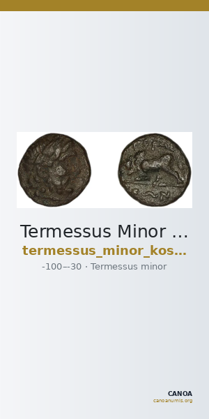 Termessus Minor Kosmetatou 1998 VIII-IX — CANOA