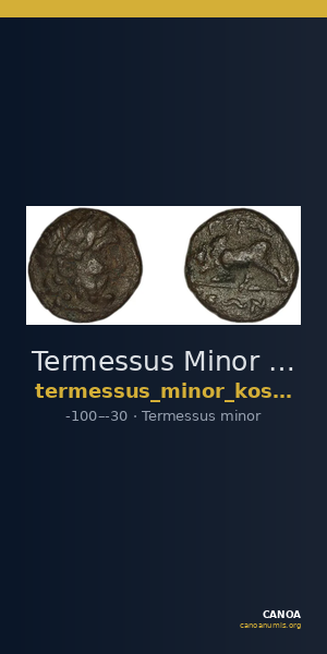 Termessus Minor Kosmetatou 1998 VIII-IX — CANOA