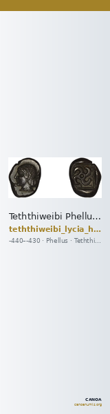 Teththiweibi Phellus Hoff 2017 M263-5 — CANOA