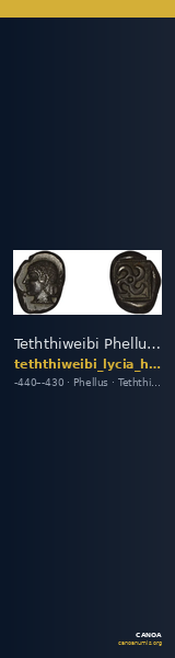 Teththiweibi Phellus Hoff 2017 M263-5 — CANOA