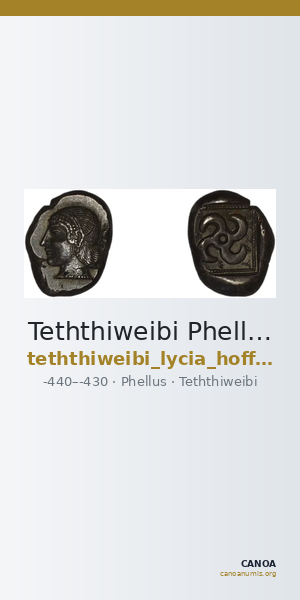 Teththiweibi Phellus Hoff 2017 M263-5 — CANOA