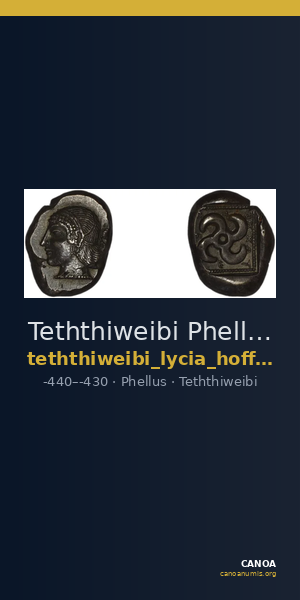 Teththiweibi Phellus Hoff 2017 M263-5 — CANOA