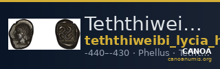 Teththiweibi Phellus Hoff 2017 M263-5 — CANOA