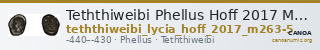 Teththiweibi Phellus Hoff 2017 M263-5 — CANOA