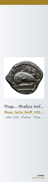 Thap... Phellus Hoff 2017 M268 — CANOA