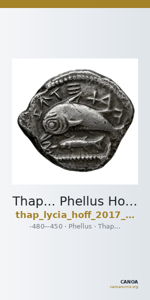 Thap... Phellus Hoff 2017 M268 — CANOA
