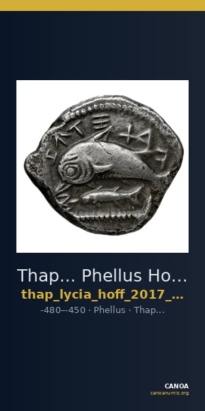 Thap... Phellus Hoff 2017 M268 — CANOA