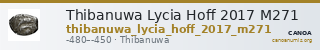 Thibanuwa Lycia Hoff 2017 M271 — CANOA