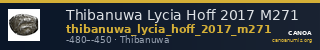 Thibanuwa Lycia Hoff 2017 M271 — CANOA