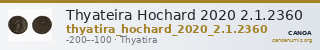 Thyateira Hochard 2020 2.1.2360 — CANOA