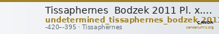Tissaphernes Bodzek 2011 Pl. x. 16 — CANOA