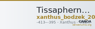 Tissaphernes Xanthus Bodzek 2011 pl. 2.4 — CANOA