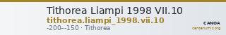 Tithorea Liampi 1998 VII.10 — CANOA