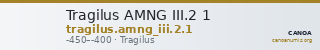 Tragilus AMNG III.2 1 — CANOA