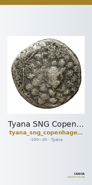 Tyana SNG Copenhagen Tyana 315 — CANOA