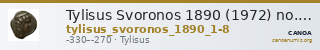 Tylisus Svoronos 1890 (1972) no. 1-8 — CANOA