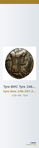 Tyre BMC Tyre 246-247, 249-50 — CANOA