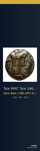 Tyre BMC Tyre 246-247, 249-50 — CANOA