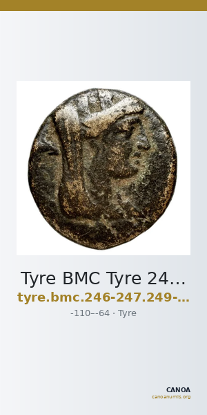 Tyre BMC Tyre 246-247, 249-50 — CANOA