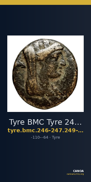 Tyre BMC Tyre 246-247, 249-50 — CANOA