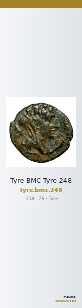 Tyre BMC Tyre 248 — CANOA