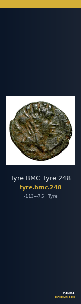 Tyre BMC Tyre 248 — CANOA