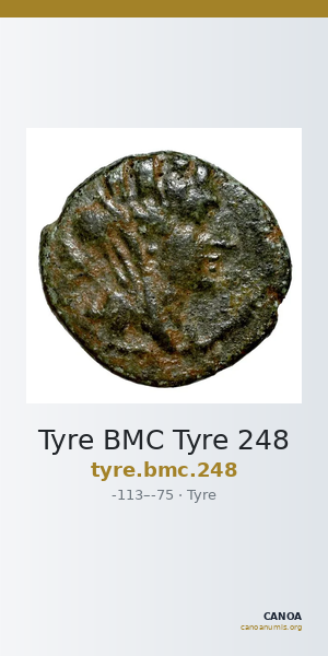 Tyre BMC Tyre 248 — CANOA
