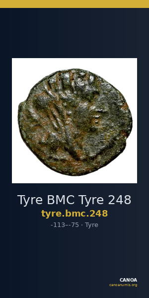 Tyre BMC Tyre 248 — CANOA