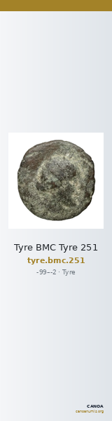 Tyre BMC Tyre 251 — CANOA