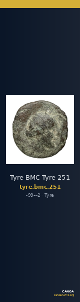Tyre BMC Tyre 251 — CANOA