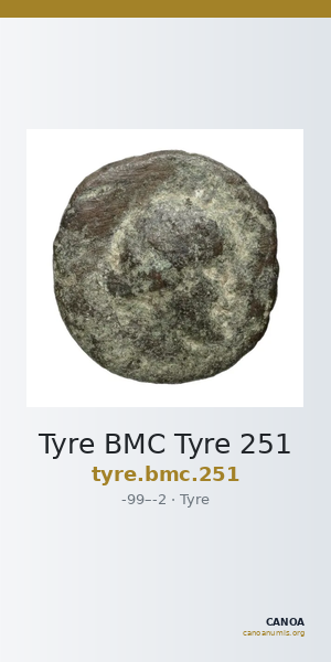Tyre BMC Tyre 251 — CANOA