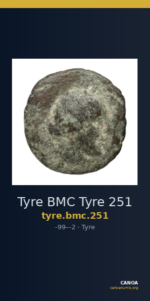 Tyre BMC Tyre 251 — CANOA