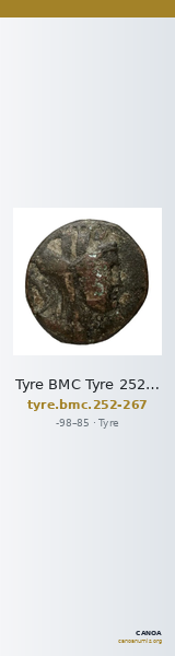 Tyre BMC Tyre 252-267 — CANOA