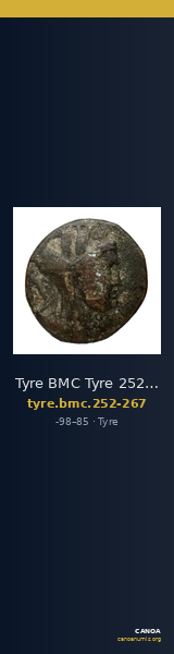 Tyre BMC Tyre 252-267 — CANOA