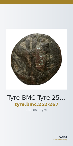 Tyre BMC Tyre 252-267 — CANOA