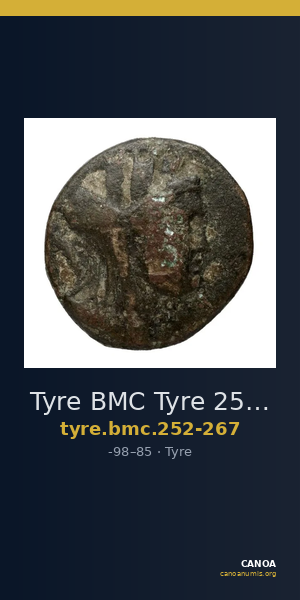 Tyre BMC Tyre 252-267 — CANOA