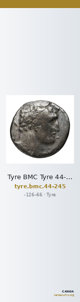 Tyre BMC Tyre 44-245 — CANOA