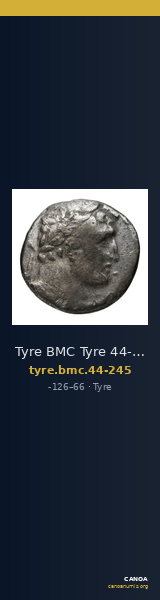 Tyre BMC Tyre 44-245 — CANOA