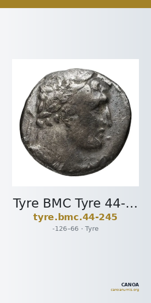 Tyre BMC Tyre 44-245 — CANOA