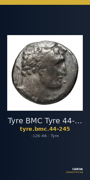 Tyre BMC Tyre 44-245 — CANOA