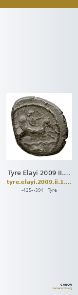 Tyre Elayi 2009 II.1.1.1 — CANOA