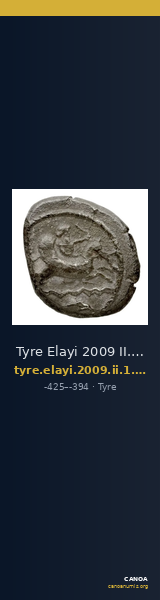 Tyre Elayi 2009 II.1.1.1 — CANOA