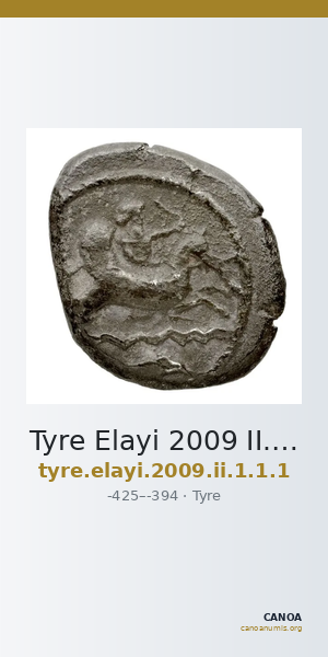 Tyre Elayi 2009 II.1.1.1 — CANOA