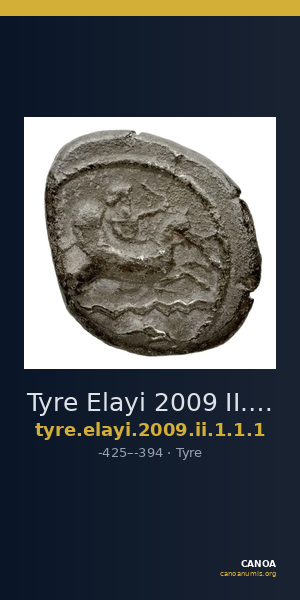 Tyre Elayi 2009 II.1.1.1 — CANOA