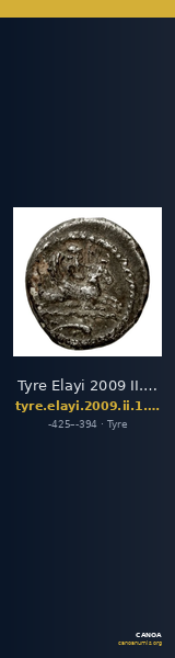 Tyre Elayi 2009 II.1.1.2 — CANOA