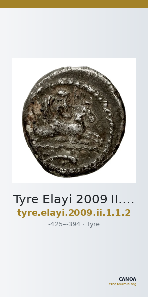 Tyre Elayi 2009 II.1.1.2 — CANOA