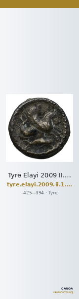 Tyre Elayi 2009 II.1.1.3 — CANOA