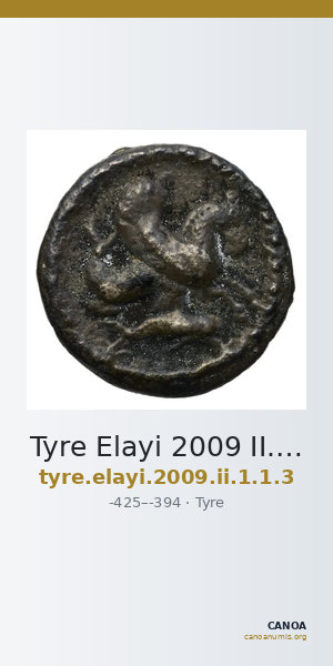 Tyre Elayi 2009 II.1.1.3 — CANOA