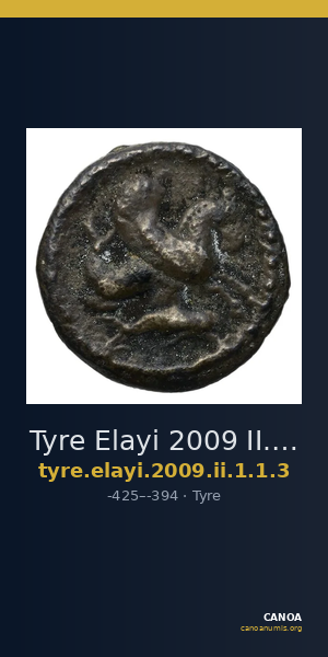 Tyre Elayi 2009 II.1.1.3 — CANOA