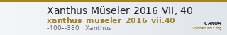 Xanthus Müseler 2016 VII, 40 — CANOA